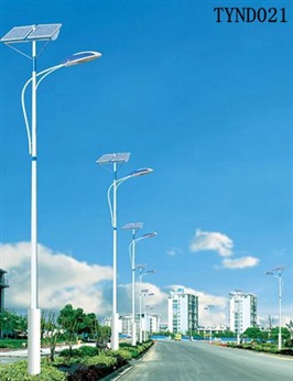 太陽(yáng)能路燈TYND021